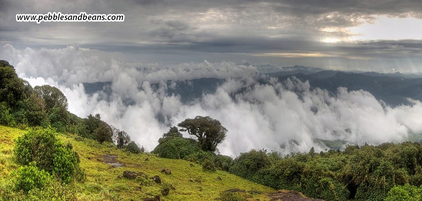Sakleshpur-In-Every-Season-Year-Round-Guide-To-Visiting