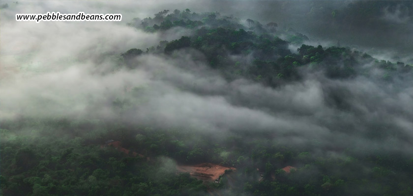 Falling-In-Love-With-The-Rains-In-Sakleshpur