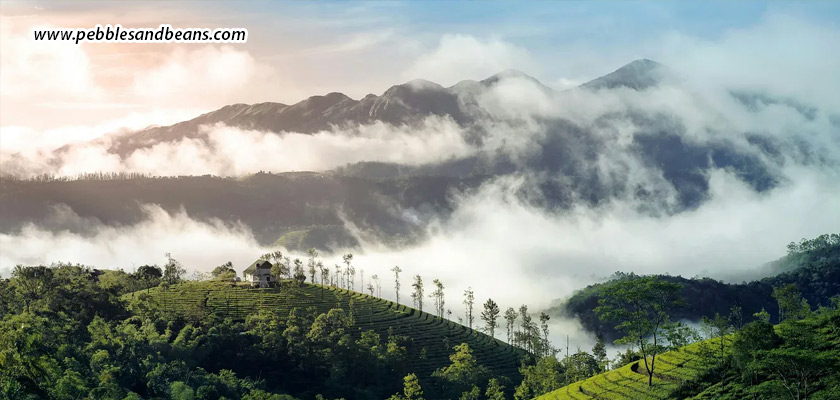 72-Hours-In-Sakleshpur-A-Slow-Travel-Experience