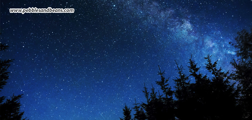 Starry-Nights-In-Sakleshpur