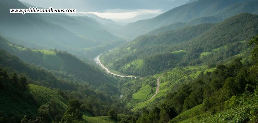 Visiting-Sakleshpur-On-A-Budget