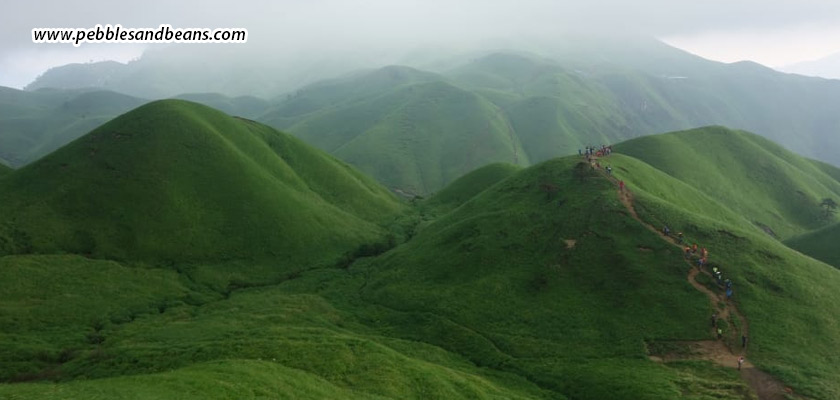 Agni-Gudda-Hill,-Sakleshpur-A-Scenic-Trek-Near-Pebbles-&-Beans-Resort