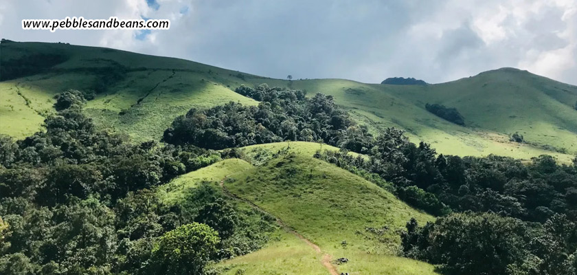 Things-to-Do-in-Sakleshpur-Nature,-Trekking-&-a-Peaceful-Stay-at-Pebbles-&-Beans-Resort