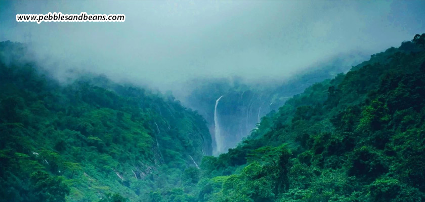 Monsoon-Romance-In-Sakleshpur