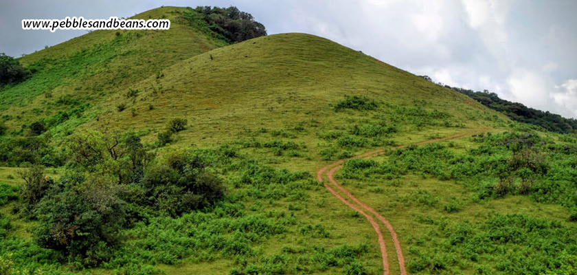 Pandavar-Gudda-A-Mythological-Trek-Through-the-Clouds-of-Sakleshpur