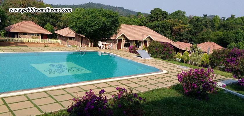 Why-Poolside-Mornings-Are-The-Best-Part-Of-A-Resort-Stay