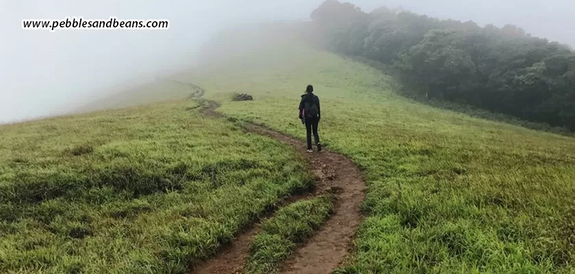 Sakleshpur-The-Ultimate-Adventure-Escape-For-Thrill-Seekers