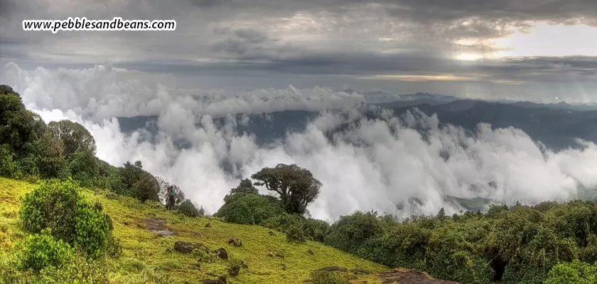 Sakleshpur-In-Every-Season-Year-Round-Guide-To-Visiting